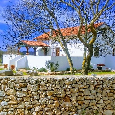 House Soni - 800 M From The Sea Villa Ровин Екстериор снимка