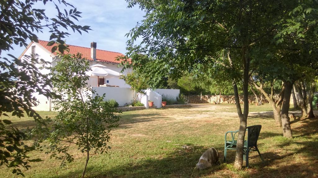House Soni - 800 M From The Sea Villa Ровин Екстериор снимка