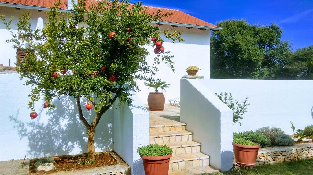 House Soni - 800 M From The Sea Villa Ровин Екстериор снимка